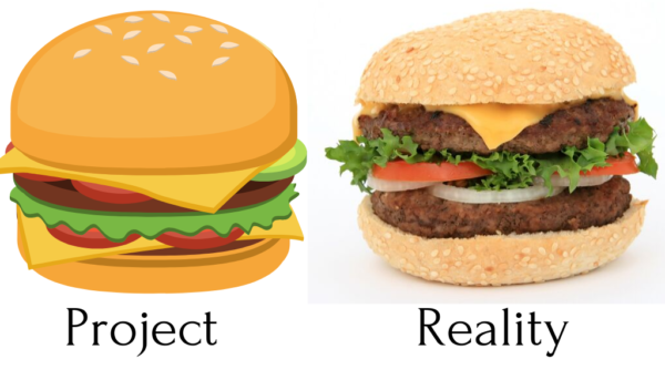 project vs reality