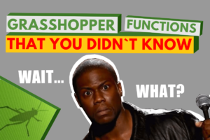 Grasshopper functions