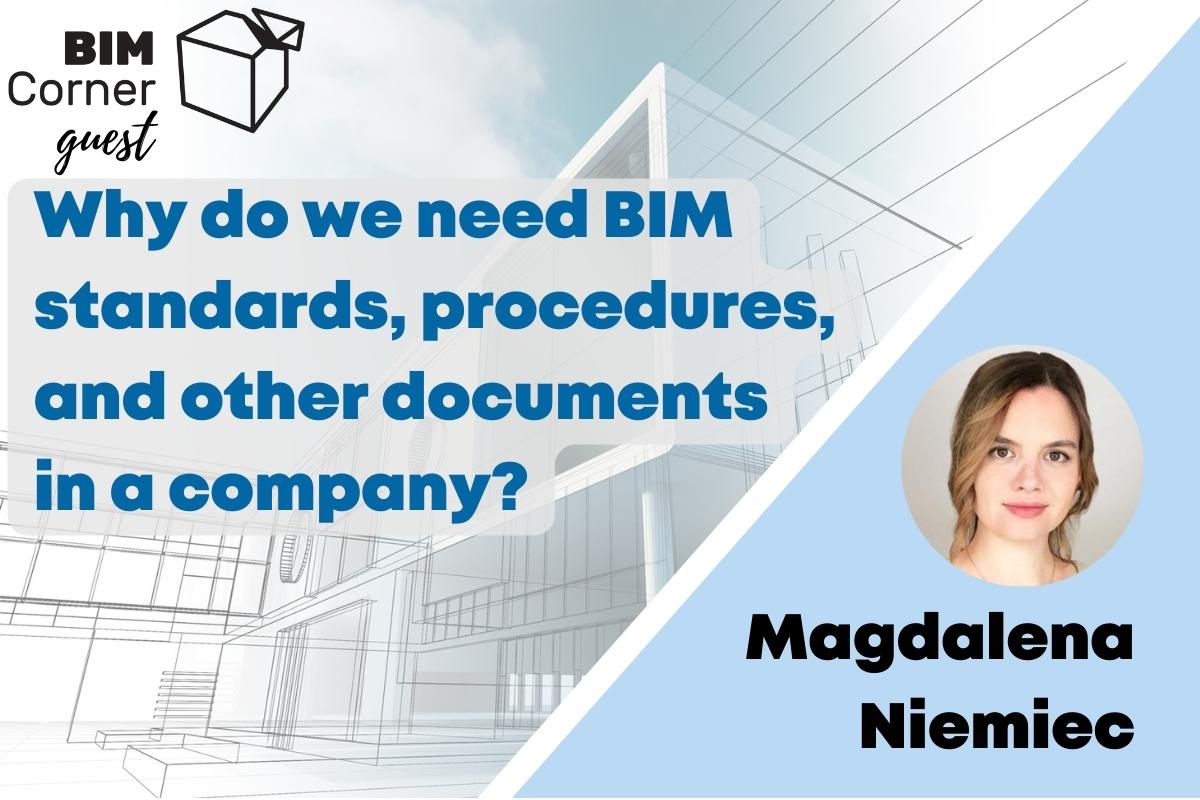 Why do we need BIM standards, procedures, and other documents in a company?