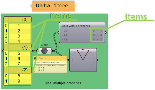 W każdej gałęzi drzewa danych może być różna liczba elementów