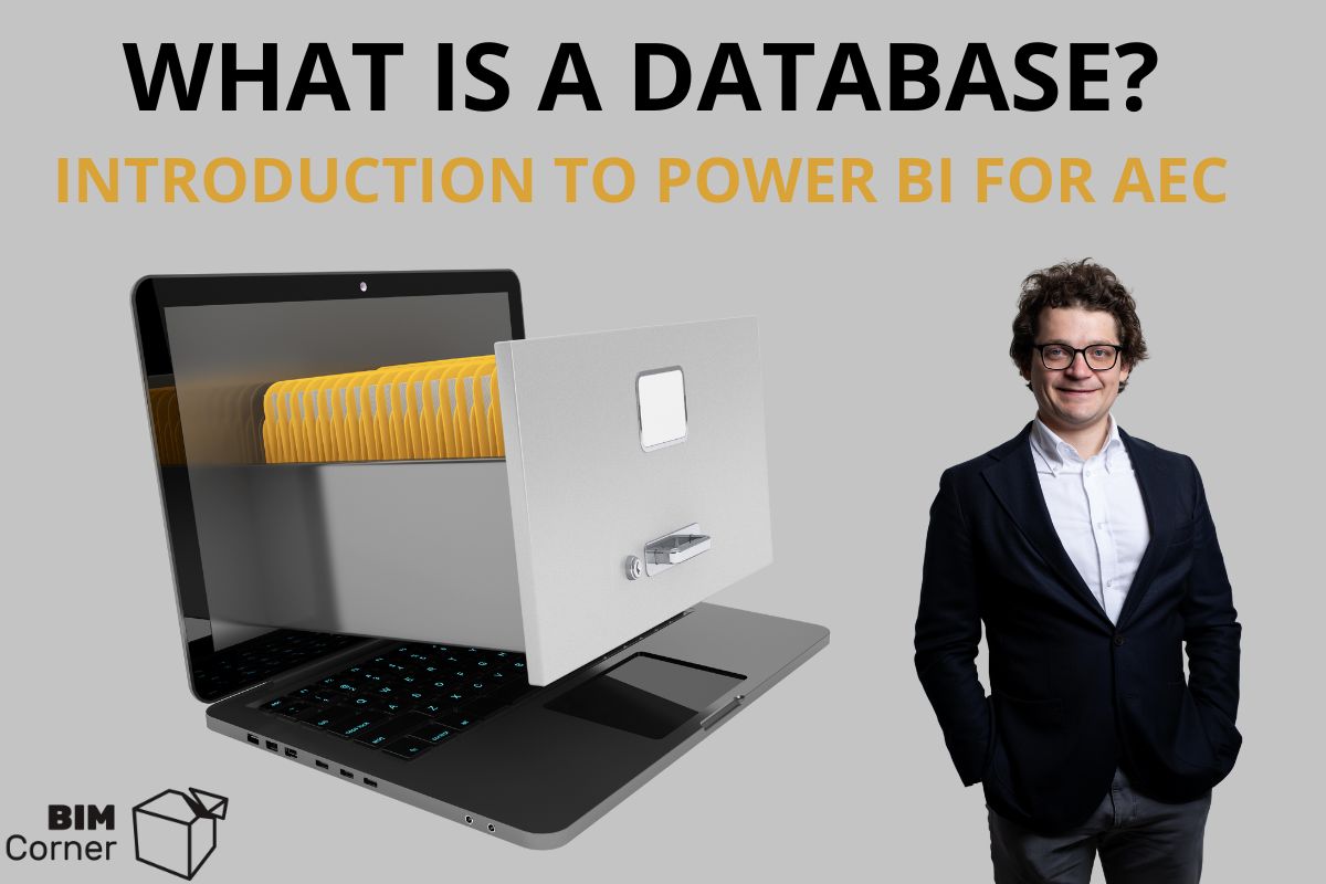 What is a database in bim