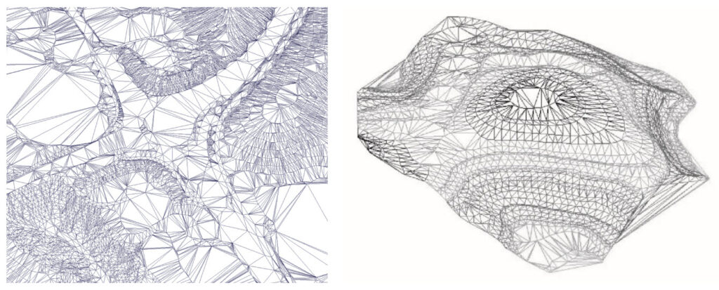 Triangulated Irregular Network (TIN)