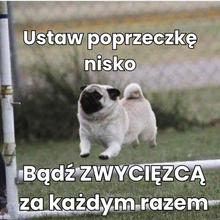 ustaw poprzeczkę nisko